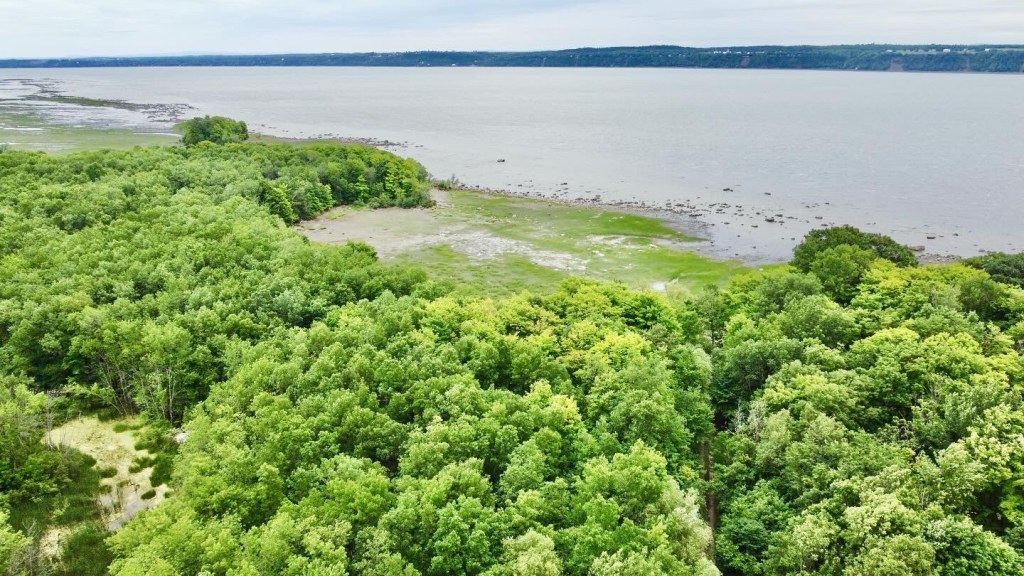 Parc des Hauts-Fonds