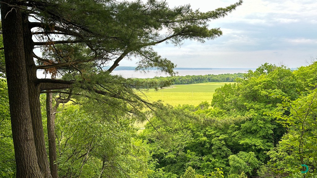 Parc de la Falaise Saint-Augustin