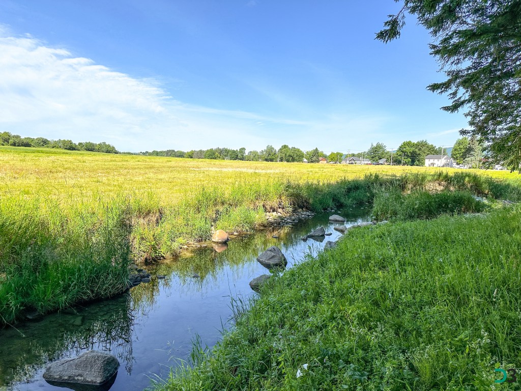 Affluent de la rivière du Cap-Rouge