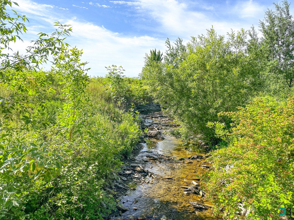 Affluent de la rivière du Cap Rouge
