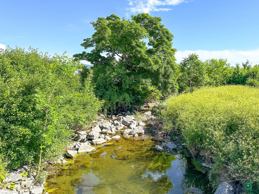 Affluent de la rivière du Cap Rouge au parc industriel nord à Saint-Augustin