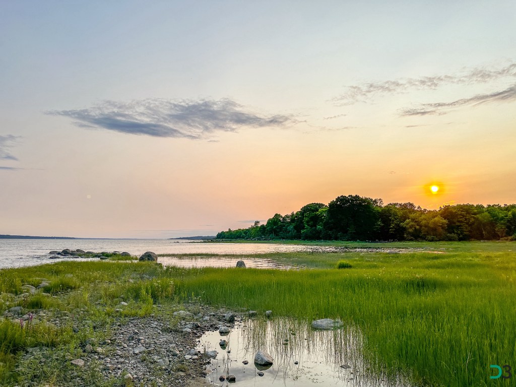 Parc des Hauts-Fonds