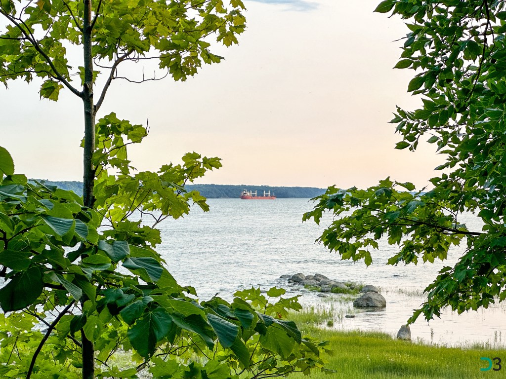 Parc des Hauts-Fonds