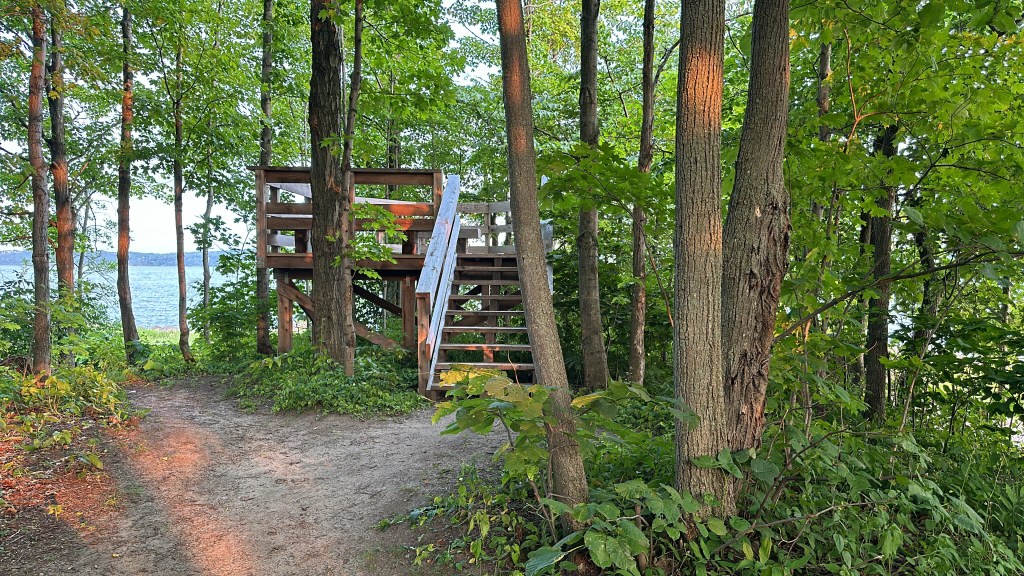 Parc des Hauts-Fonds